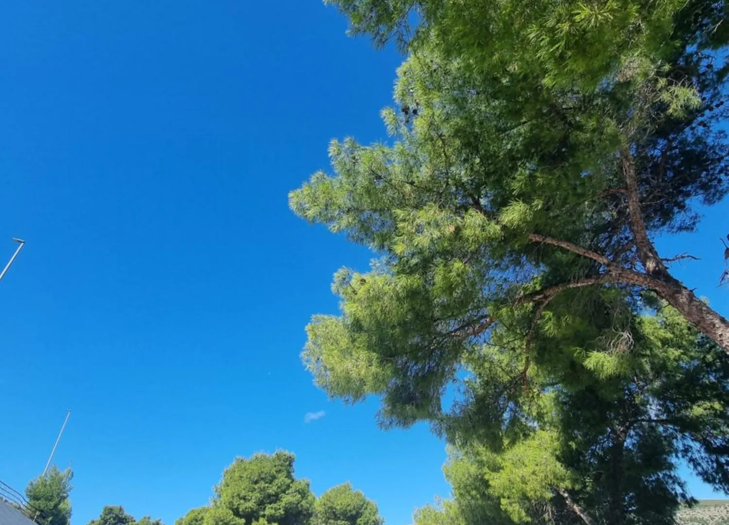 Apartment Mokka Charming Seaview Trogir